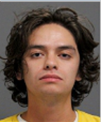 Image of PALMER, OWEN FLANNERY