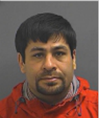 Image of GLEAVE, AARON M