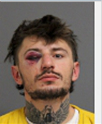 Image of GREEN, TYLER JAMES