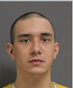 Image of GABRIELSEN, NEO WILES