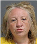 Image of HUDSON, BRANDI RENEE