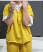 Image of HANSEN, IVY LYNNE