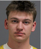 Image of FRIEDMAN, DAMIEN KALIN