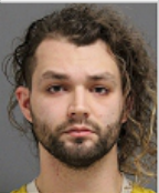 Image of VALENTINE, GREY KUVASZ