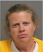 Image of NORRIS, BRANDI LYNN