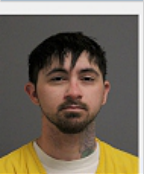 Image of RICHARDSON, DAVID DOUGLAS