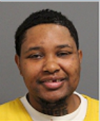 Image of BARNES, DOMINIQUE JANAY