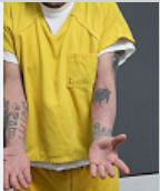 Image of LLEWELLYN, JONATHAN WALTER