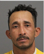 Image of VILLALOBOS-DOMINGUEZ, AROLDO