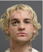 Image of STELLAVATO-TOLLEFSON, EDEN FINN