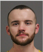 Image of ROBINSON, GAUGE LEE