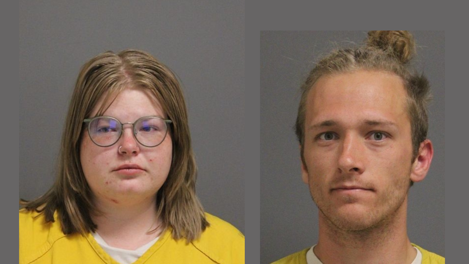 CMU Campus Vandals Arrested