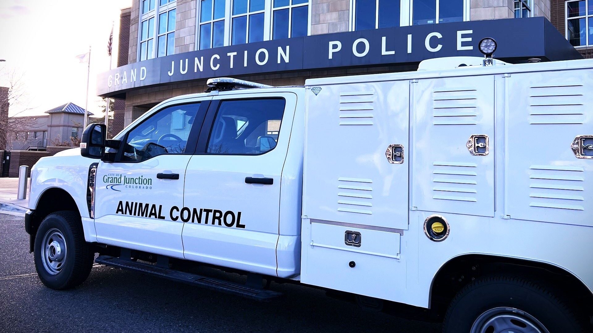 GJPD Animal Control Reports February 2025 Statistics
