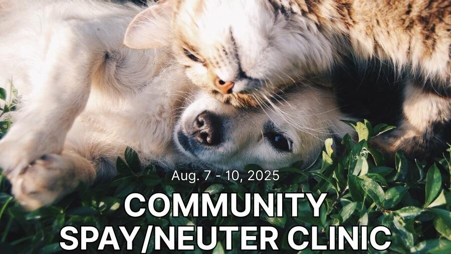 Registration Open for  Discounted Spay/Neuter Clinic