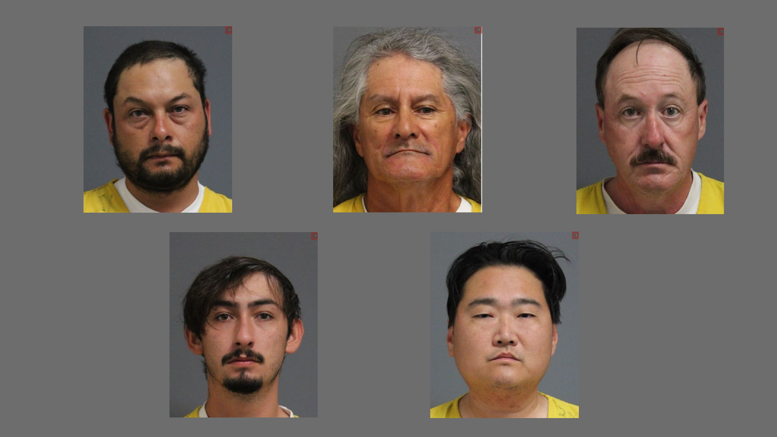 Internet Predator Sting Leads to Five Arrests