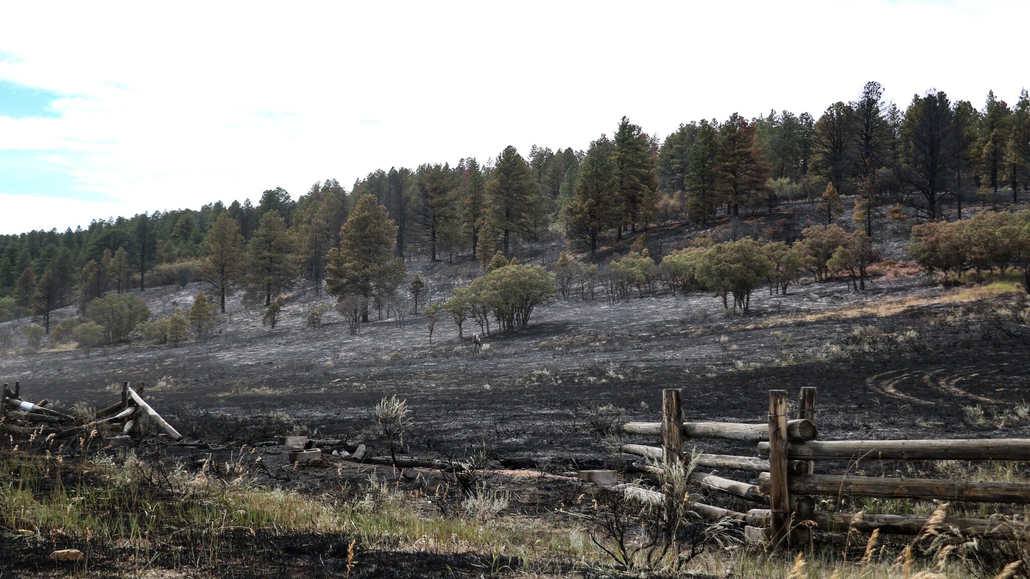 Wild Fire, Area of J S RD & 16 1/2 Rd Glade Park