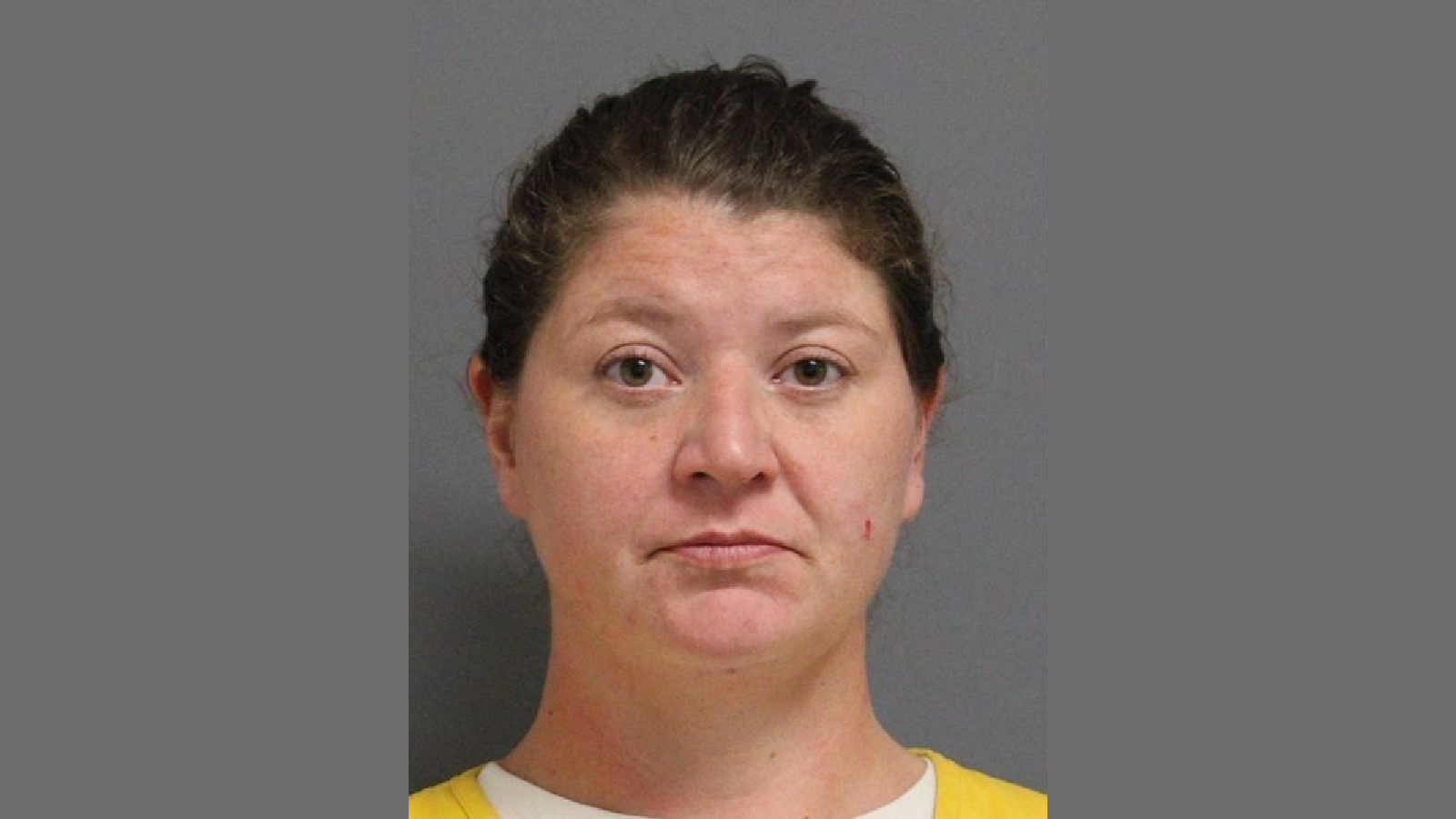 Woman Arrested After Burglary and Police Pursuit