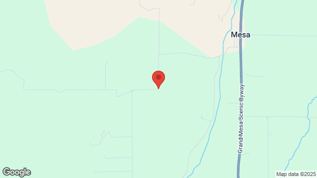 Motorcycle vs Deer, KE Rd & 48 1/4 Rd Mesa