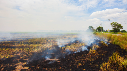 Fall Open Burn Season Begins in Mesa County