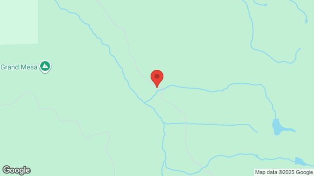 Single Vehicle Rollover, Forest Rd 121 & 59 Rd Collbran