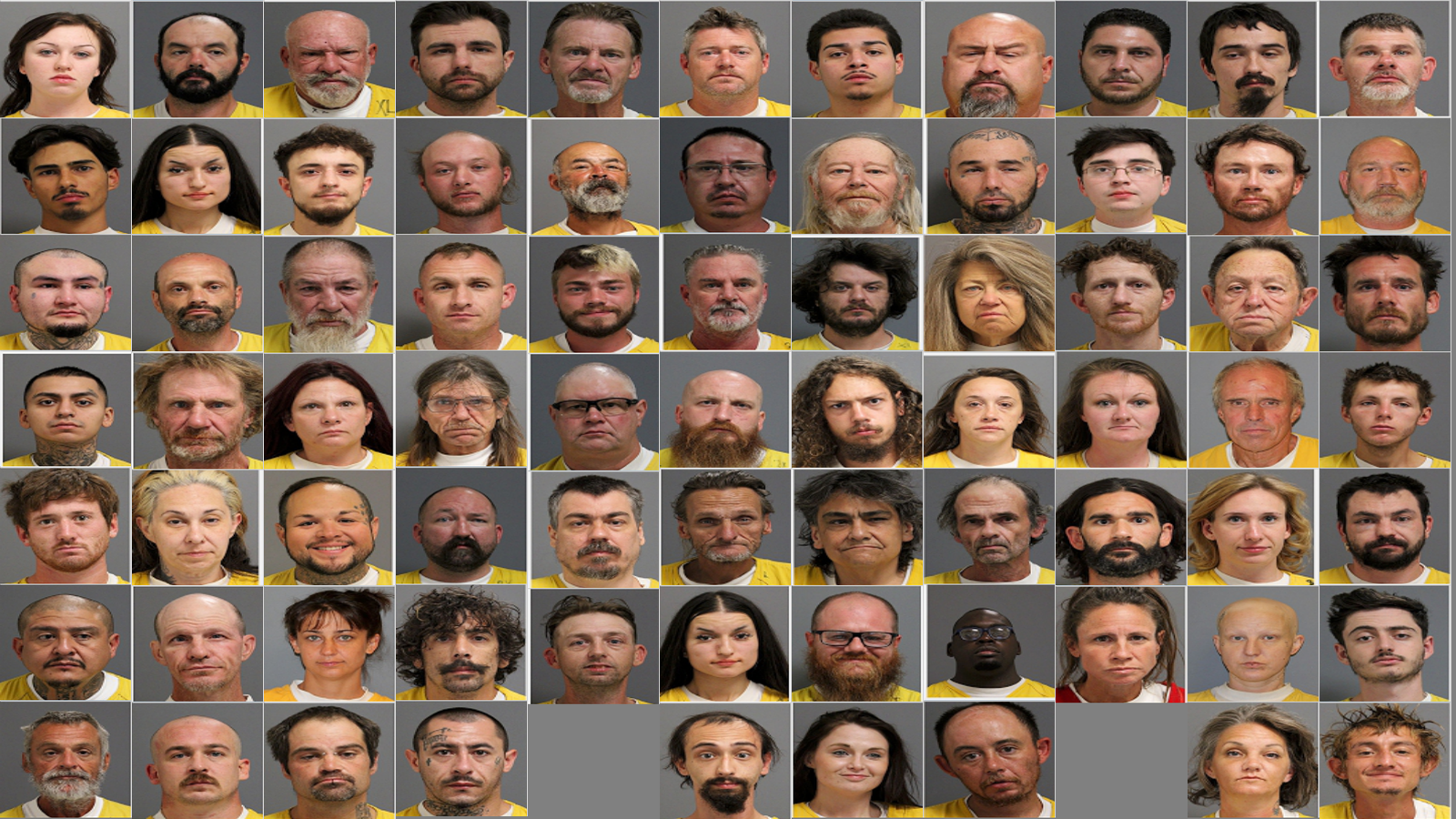 Weekly Jail Bookings for 9/14/25 to 9/20/25