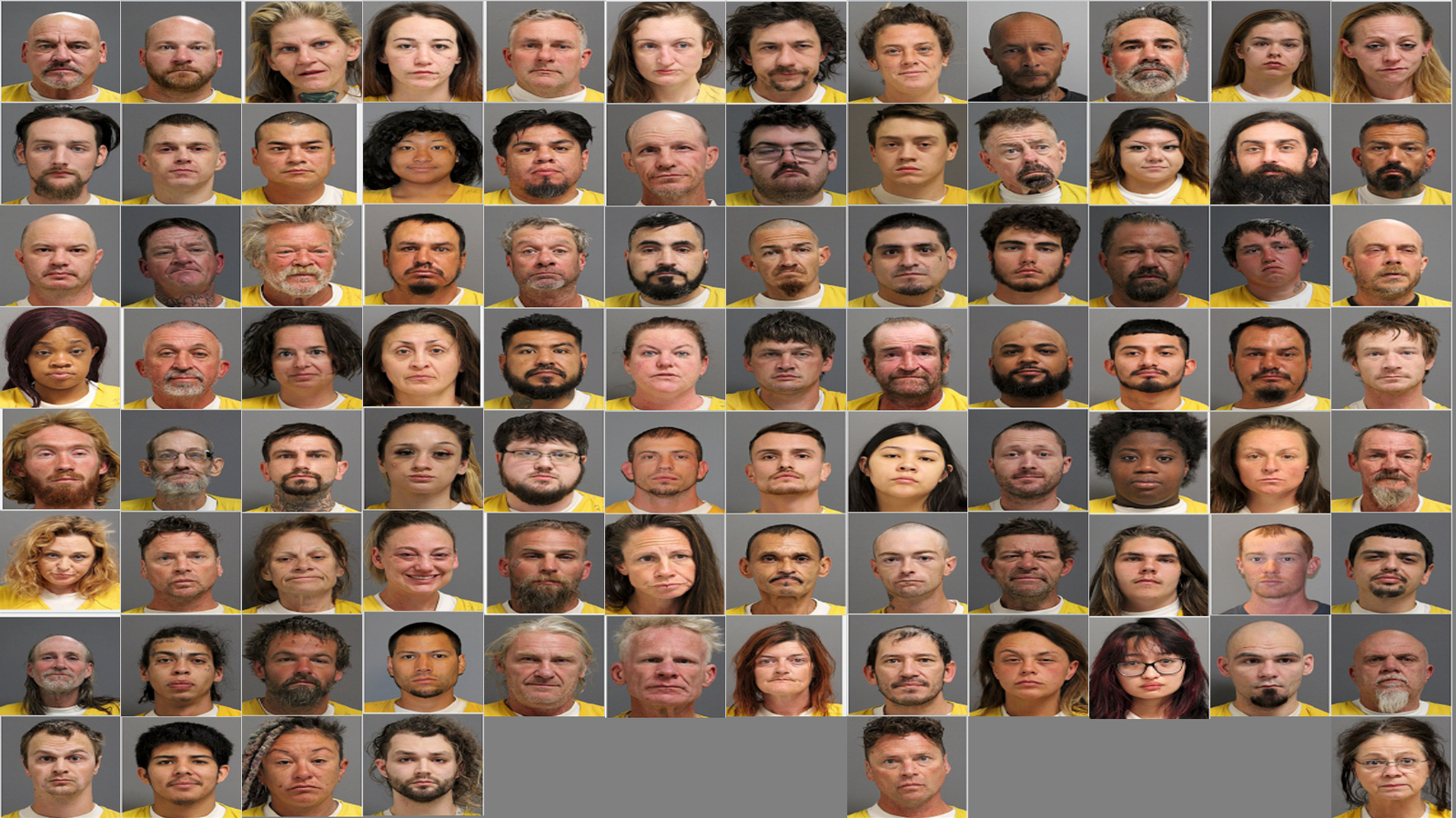 Weekly Jail Bookings for 11/9/25 to 11/15/25