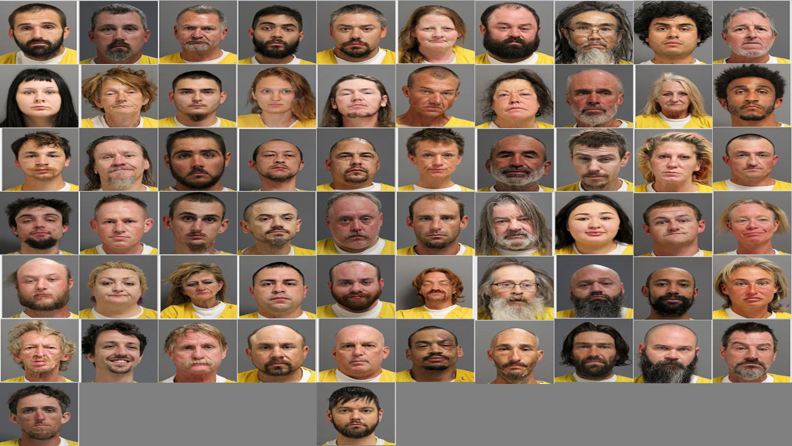 Weekly Jail Bookings for 10/26/25 to 11/1/25