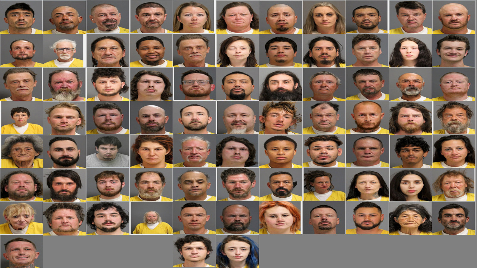 Weekly Jail Bookings for 11/16/25 to 11/22/25