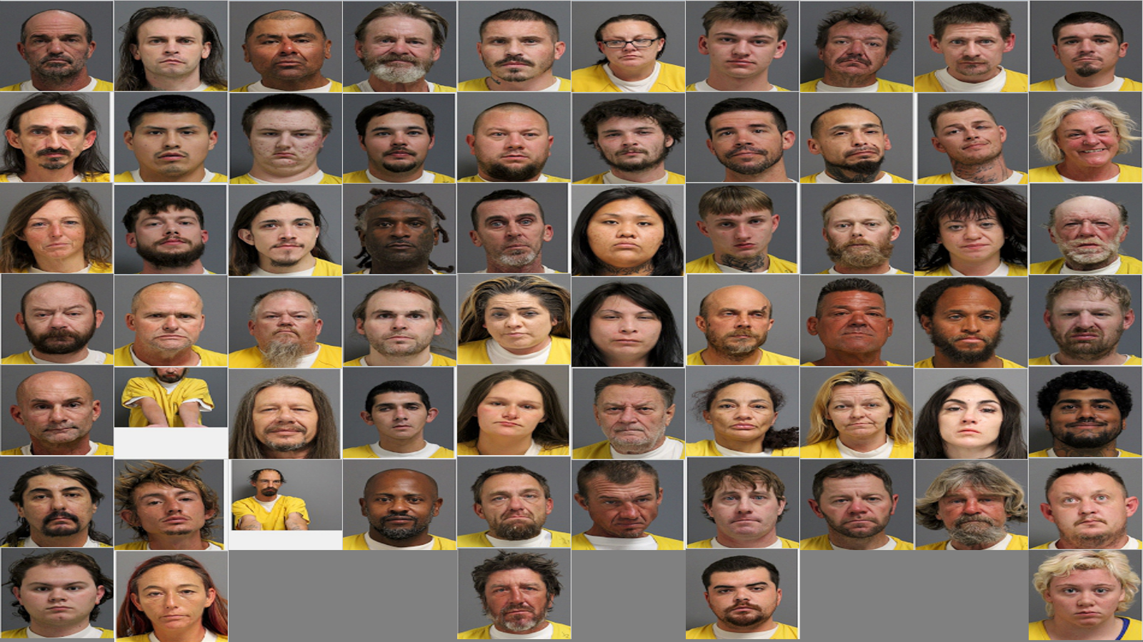 Weekly Jail Bookings for 11/23/25 to 11/29/25