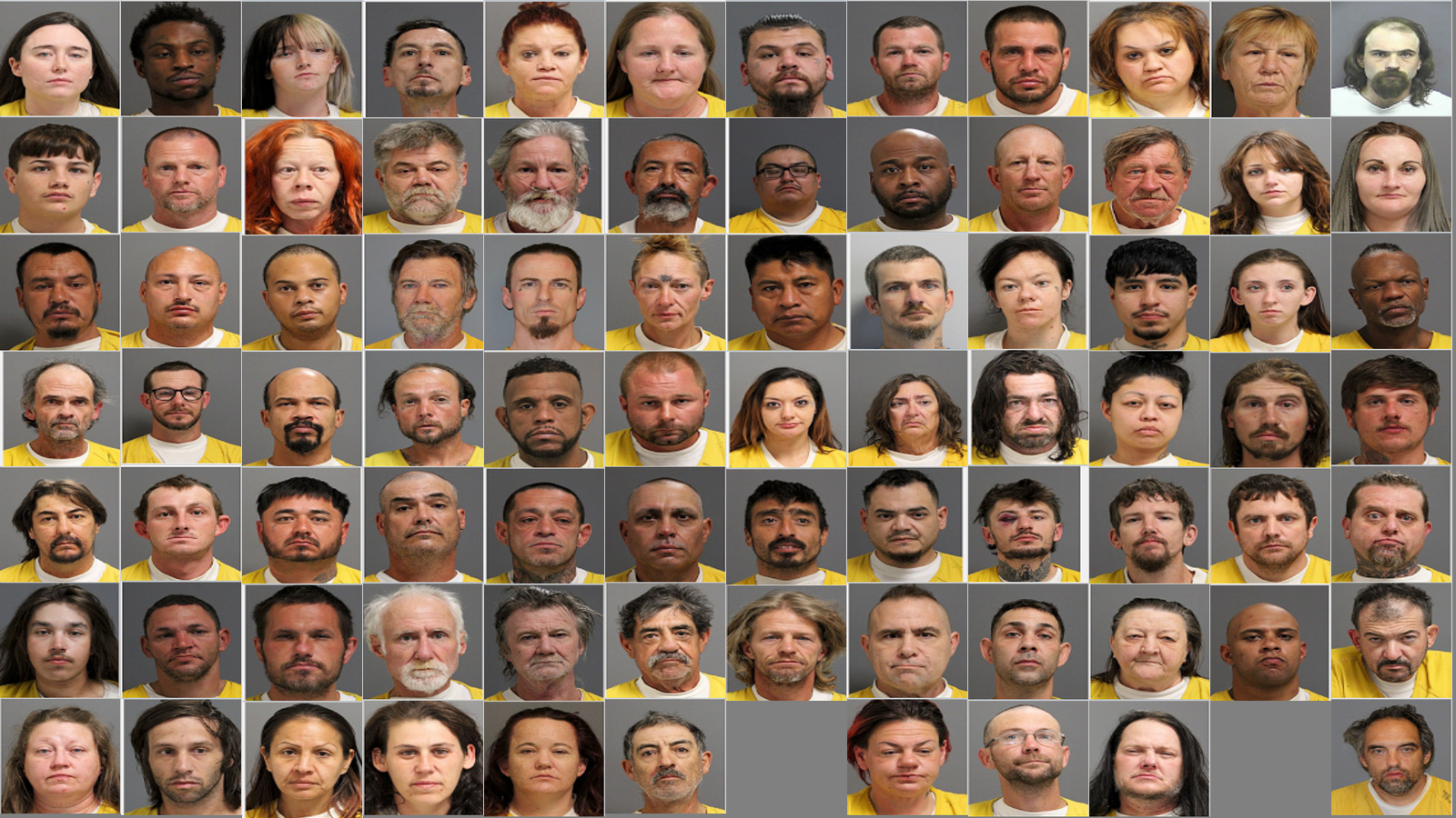 Weekly Jail Bookings for 11/2/25 to 11/8/25