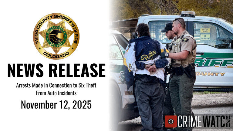 Search Warrant on 33 Rd Nets Arrests, Stolen Property, Firearm