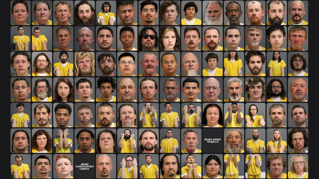 Weekly Jail Bookings for 1/4/26 to 1/10/26