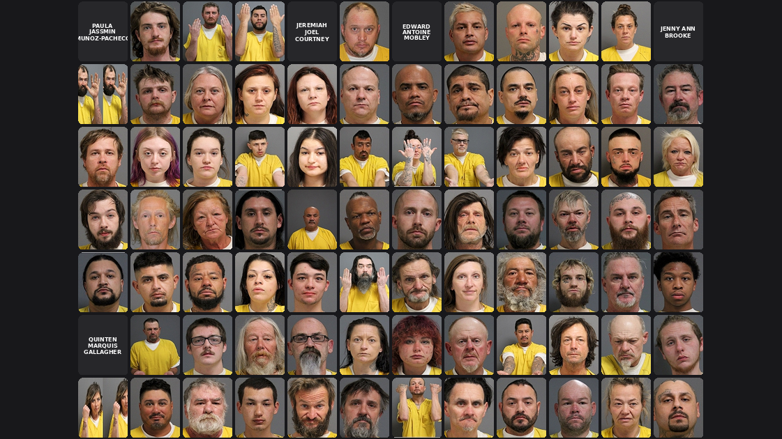 Weekly Jail Bookings for 1/18/26 to 1/24/26