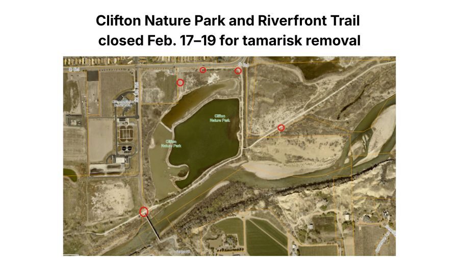 Clifton Nature Park Trail to Close for Tree Removal