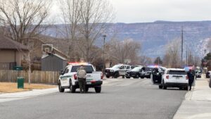 Domestic Disturbance, Powis Ln & Brandon Dr