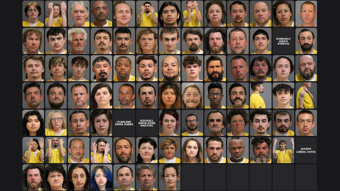 Weekly Jail Bookings for 2/1/26 to 2/7/26