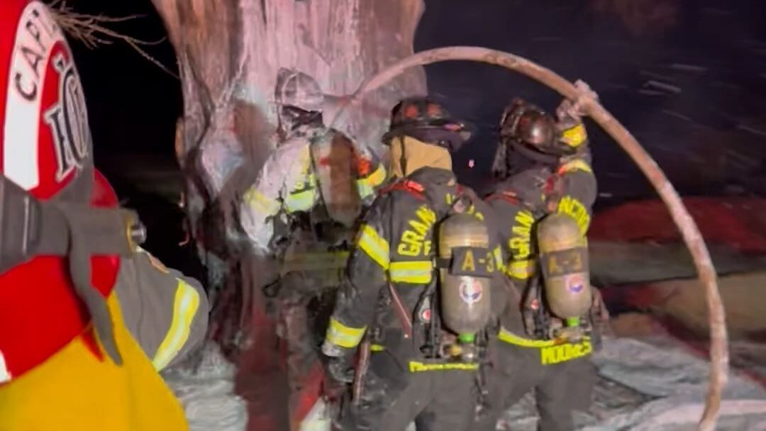 Early Morning Shed / Tree Fire Extinguished