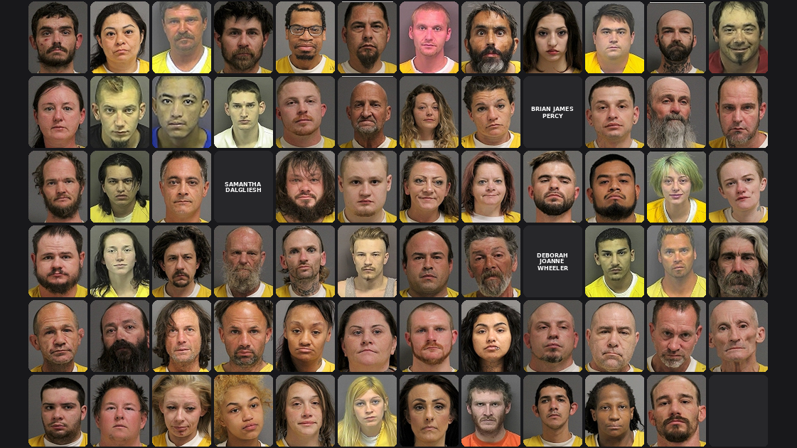 Weekly Jail Bookings for 3/1/26 to 3/7/26