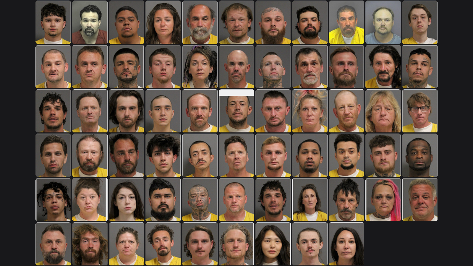 Weekly Jail Bookings for 4/5/26 to 4/11/26