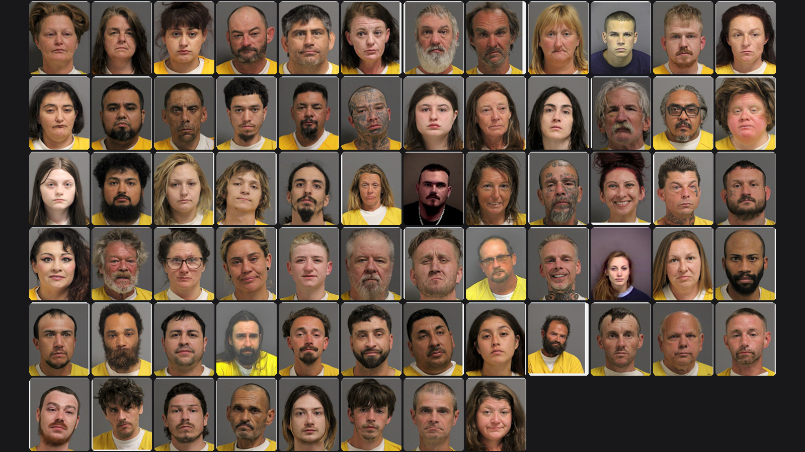 Weekly Jail Bookings for 5/24/26 to 5/30/26