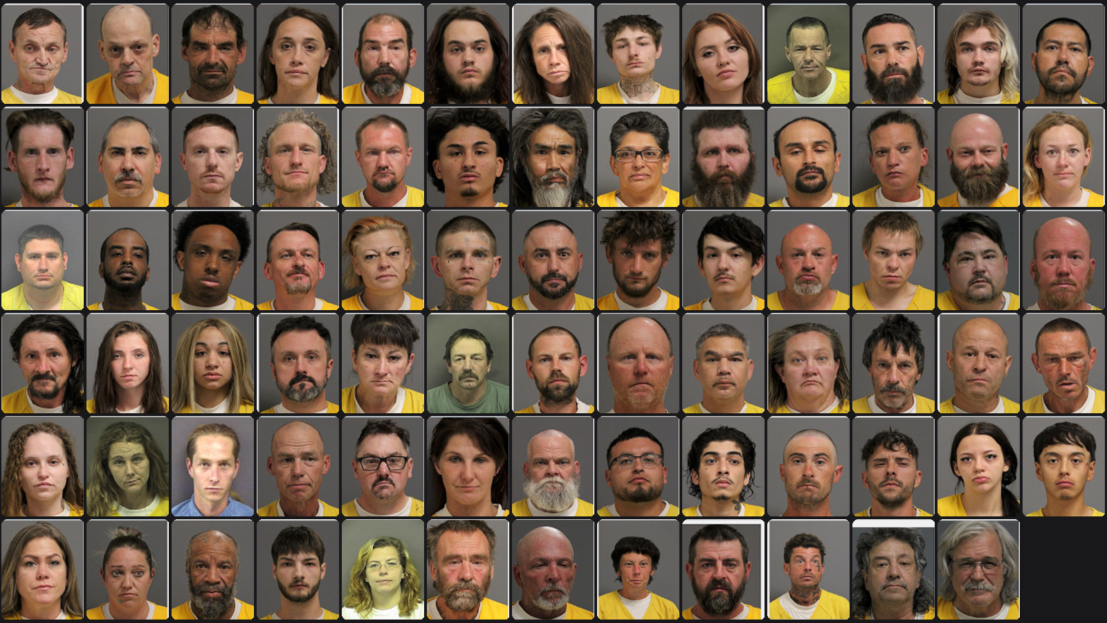 Weekly Jail Bookings for 5/31/26 to 6/6/26