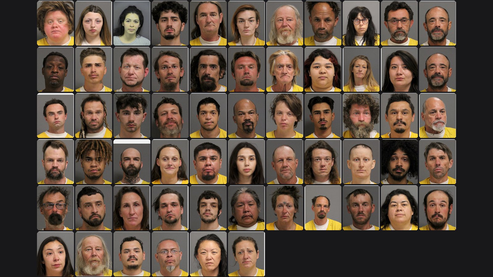 Weekly Jail Bookings for 6/7/26 to 6/13/26