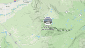 Scavenged Human Remains Discovered Off Lands End Road