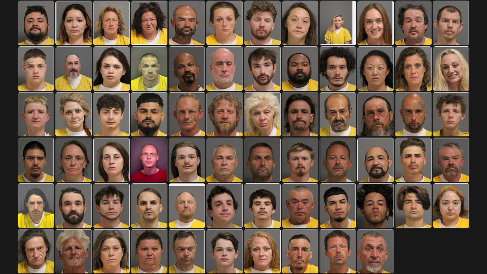 Weekly Jail Bookings for 7/5/26 to 7/11/26