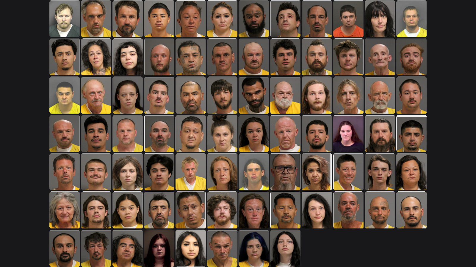 Weekly Jail Bookings for 7/19/26 to 7/25/26