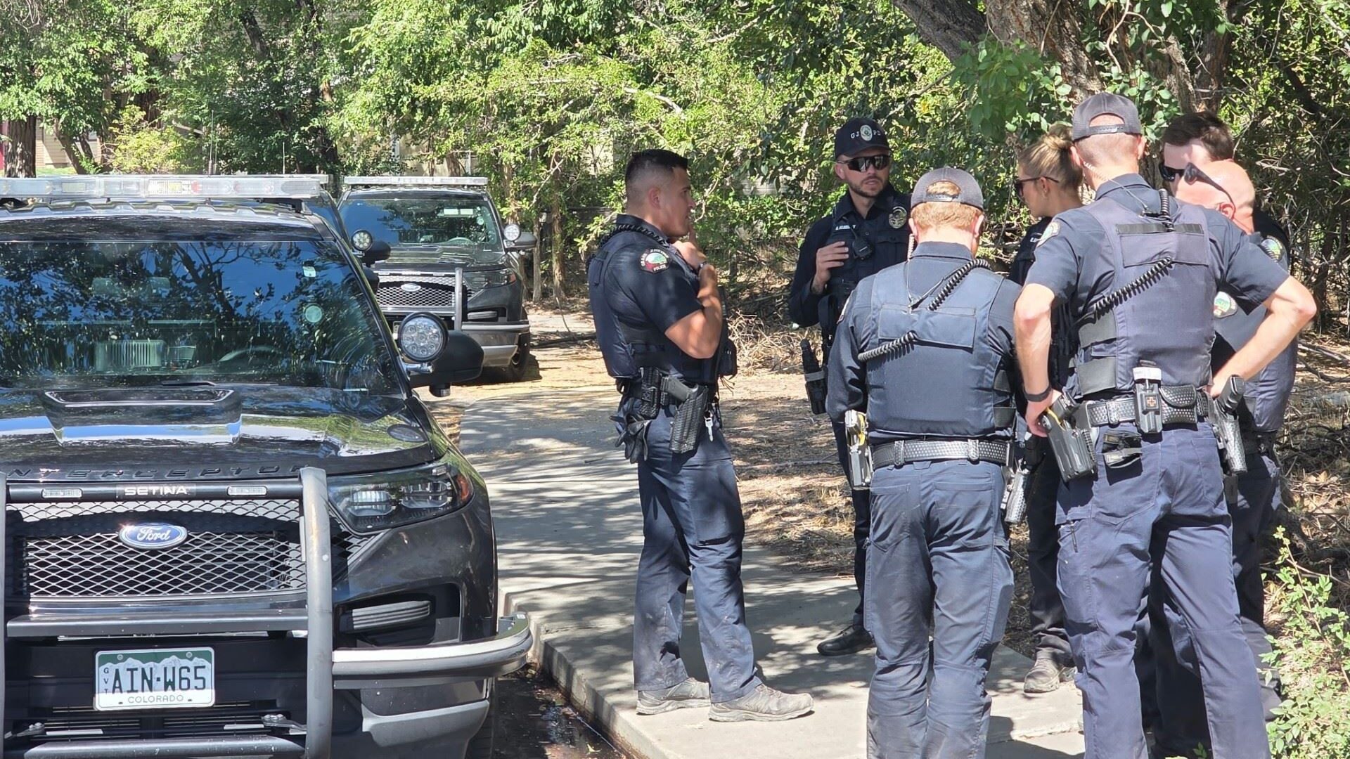 Men Jailed for Firing Pellet Rifle at Disc Golfers