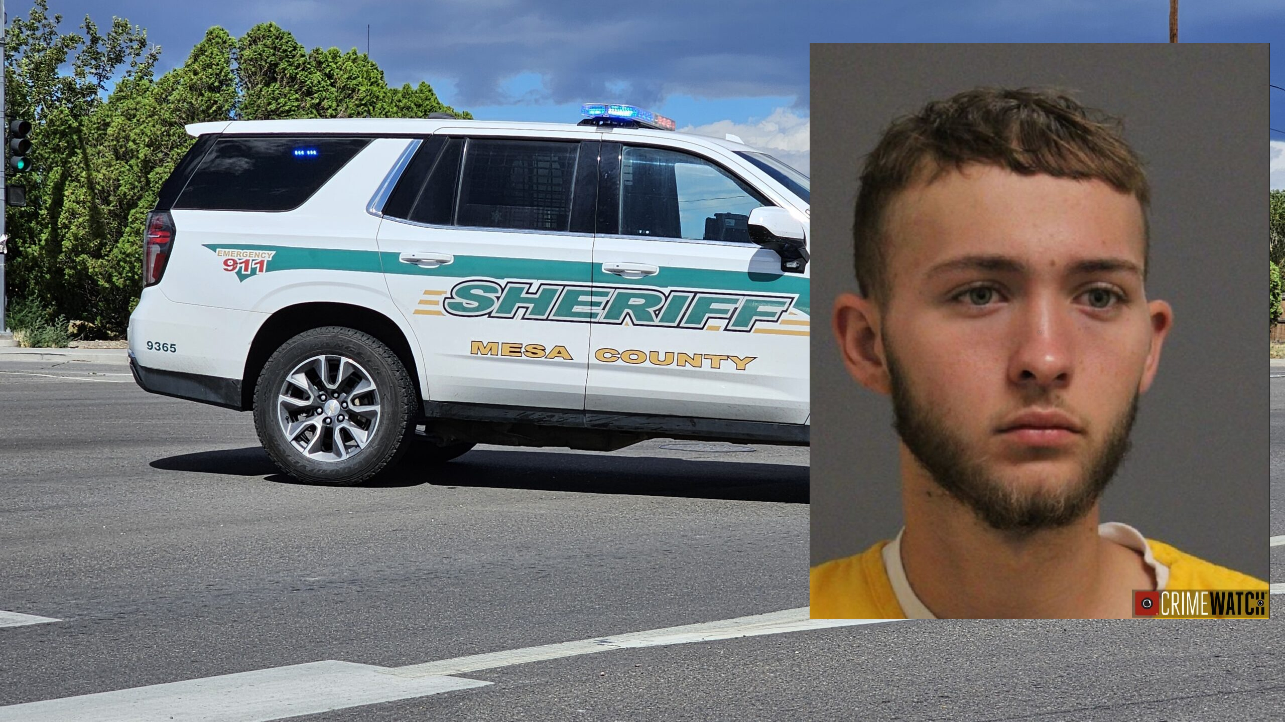 Man Arrested for Domestic Assault and Attacking Deputies