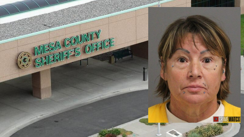 Deputies Make Arrest for Falsifying Legal Documents