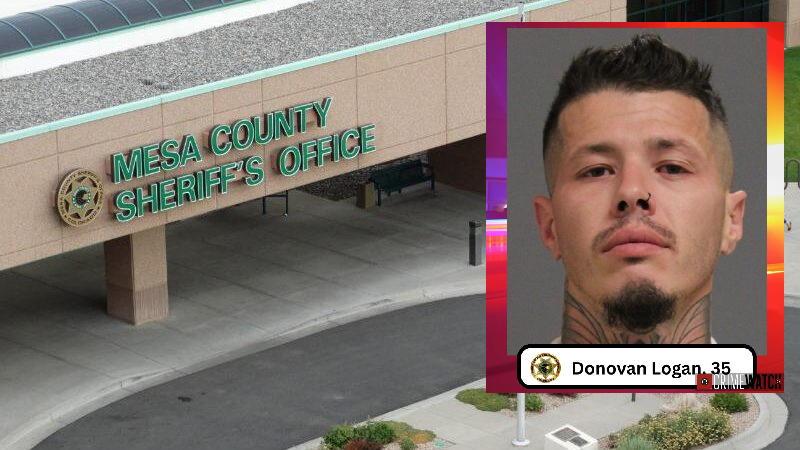 Habitual Domestic Violence Offender Arrested