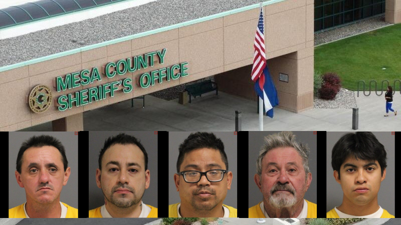 Multiple Jailed Following Internet Predator Operation
